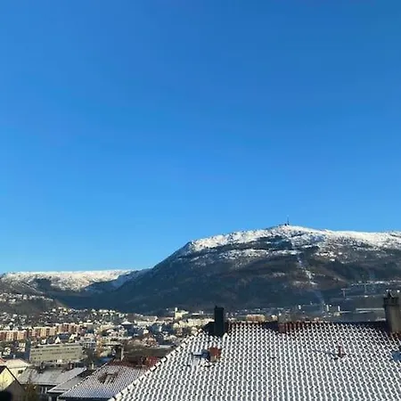 Flott Sentral 3 Roms Leilighet * Bergen